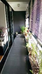 Sun Court (D21), Apartment #851542